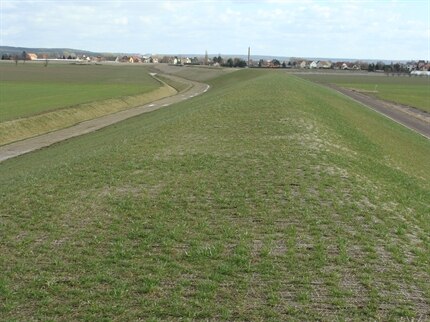 Blick auf einen begrünten Deich