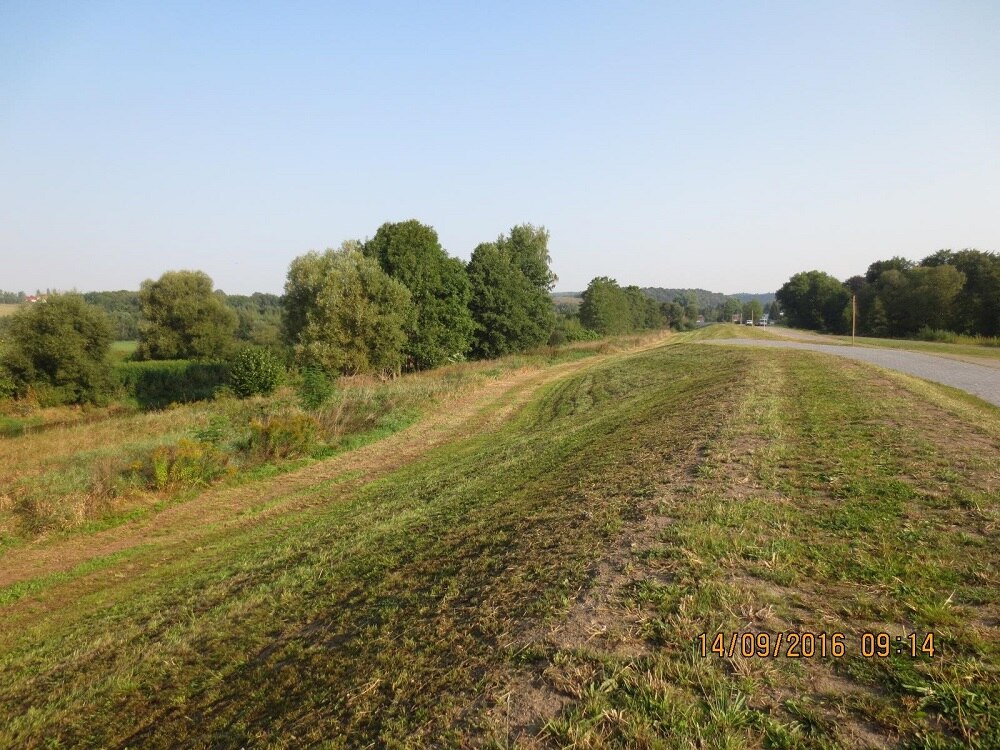 Blick auf Grünfläche mit Bäumen