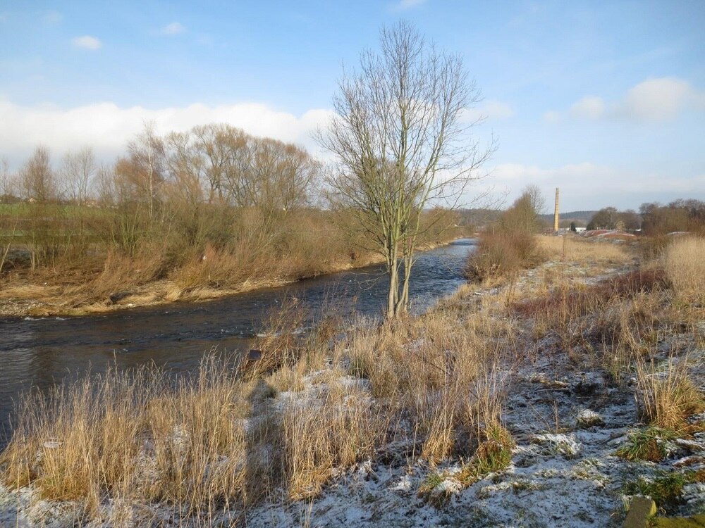 Fluss mit bewachsenen Uferrändern