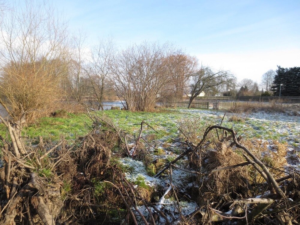 Gestrüpp, im Hintergrund Wasser