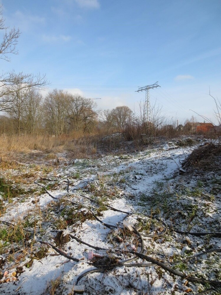 Wiese mit Gestrüpp und Fahrspuren von ein wenig Schnee bedeckt