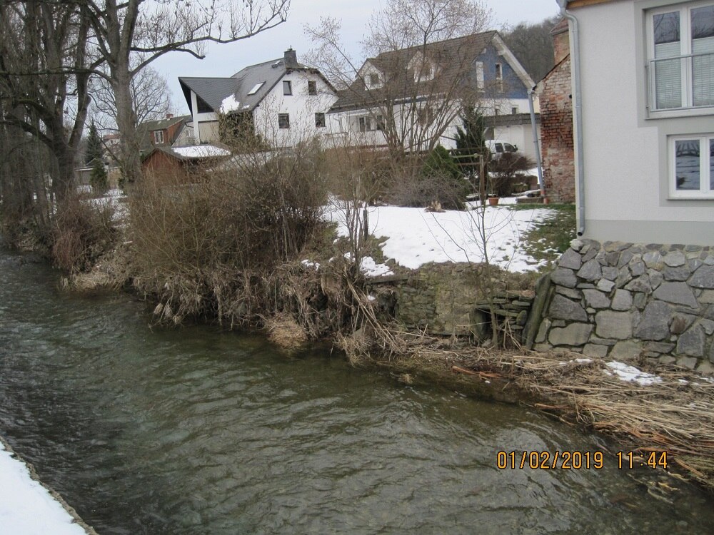 Fluss mit bewachsenem Flussufer, dahinter Häuser