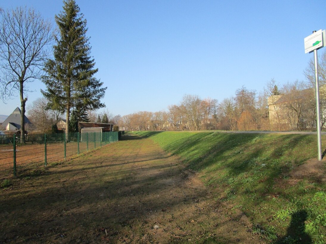 Blick auf Wiese mit grüner Böschung