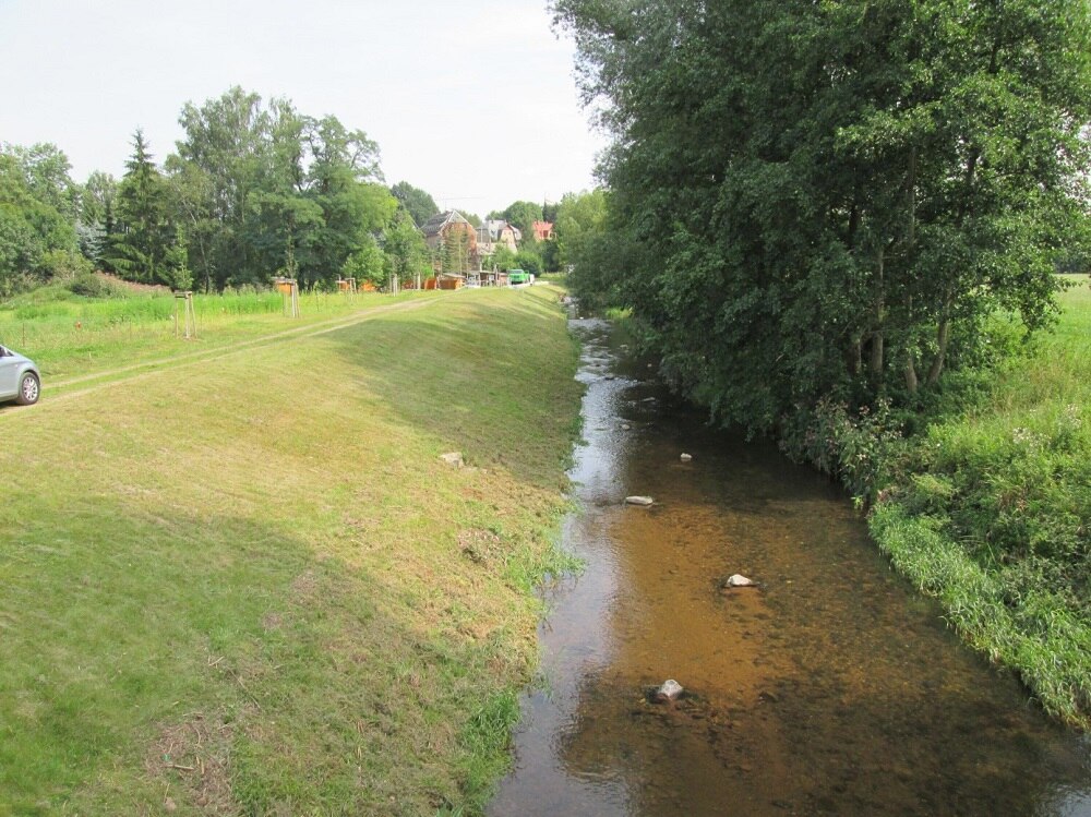 flach abfallende Wiese zu einem Fluss mit Bäumen