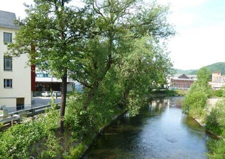 Blick auf Fluss, am linken Flussufer Bäume, dahinter Häuser