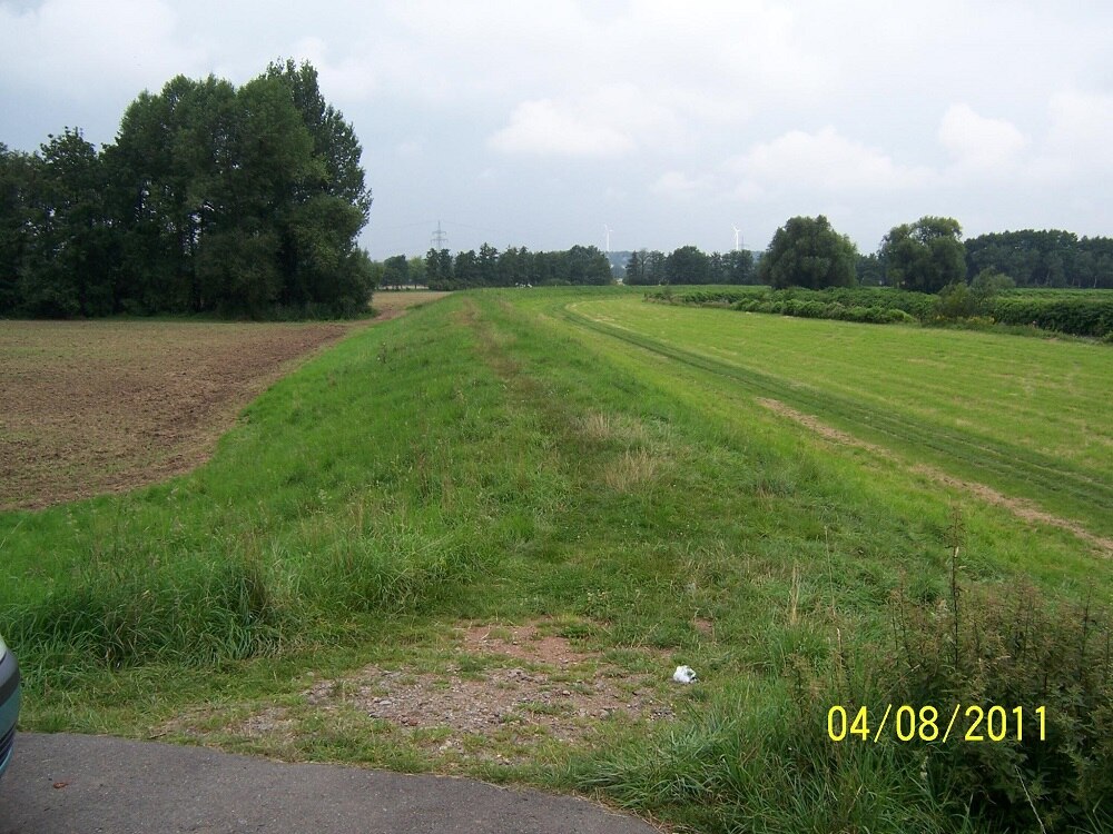 Blick auf Feld mit Wiese und Acker und im Hintergrund Bäume