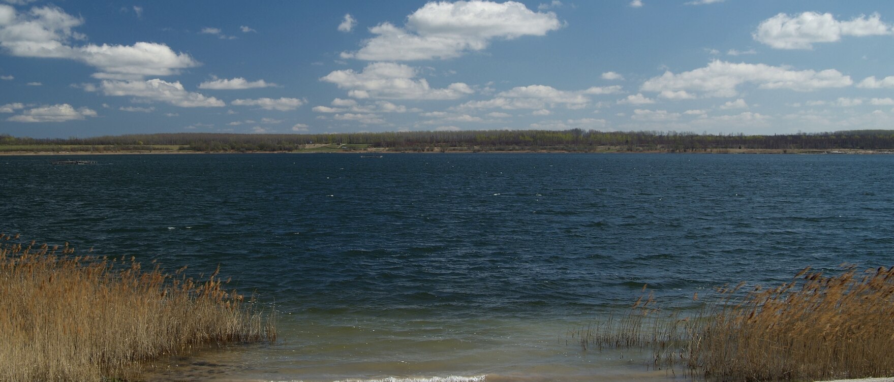 Wellen stoßen an das sandige Ufer eines Sees mit Gräsern an der linken Seite