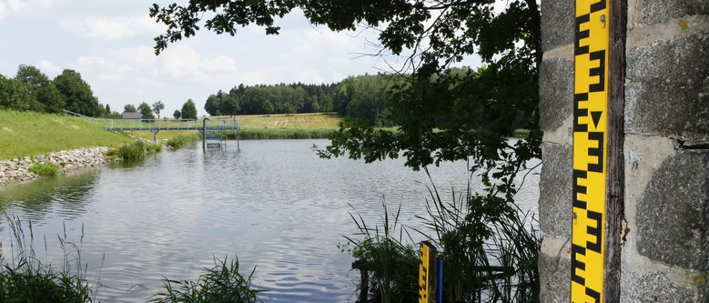eine Messlatte hängt an einer Mauer, im Hintergrund Wasser mit einem Steg umgeben von Grün