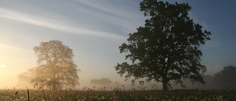 Sonnenaufgang in der Muldenaue bei Wurzen