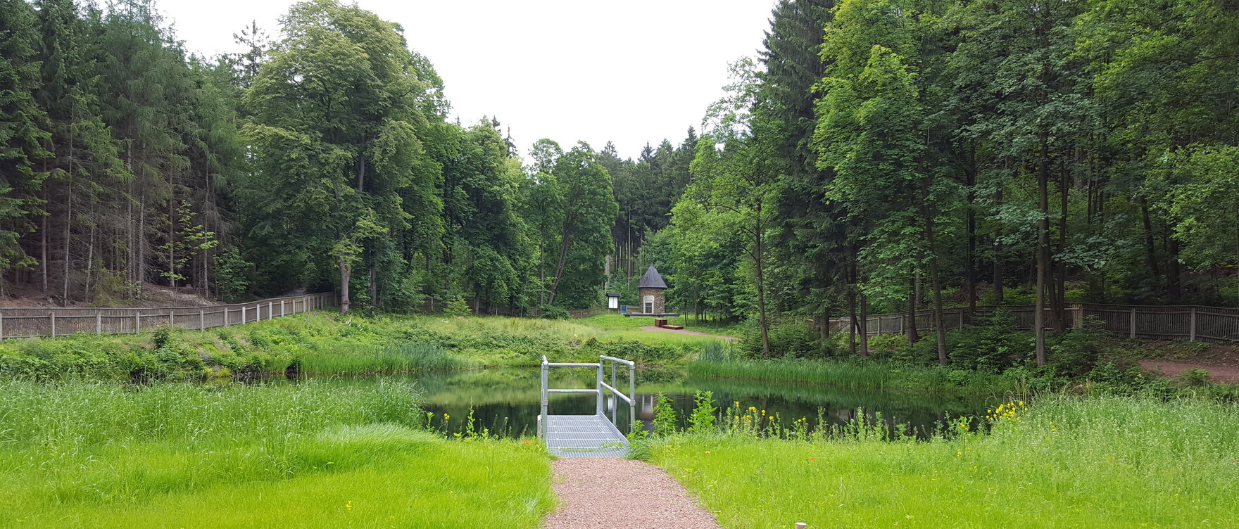 Blick auf einen Teich im Grünen, im Hintergrund Wald