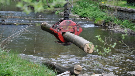 Kran holt einen Baumstamm aus einem Fluss