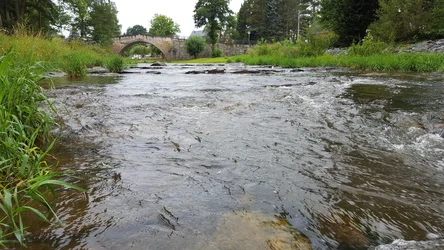 Die Mandau nach dem Rückbau des Wehres Himmelsbrücke