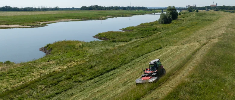 Deichmahd grüner Wiese an einem Fluss