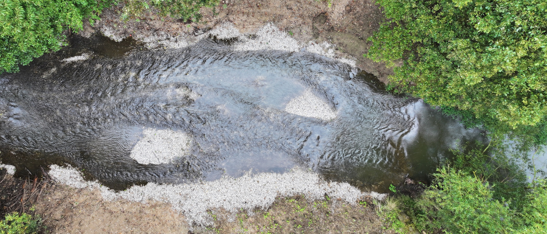 renaturierter Flussabschnitt der Wyhra