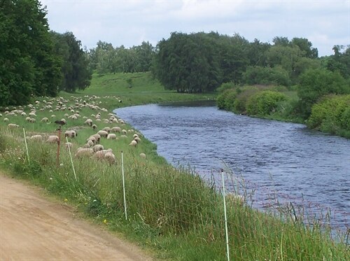 Fluss, links davon Wiese mit Schafen und ein Weg