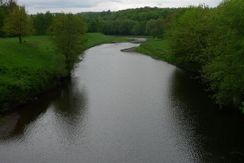 Blick auf einen breiten Fluss, daneben Wiesen und Wälder