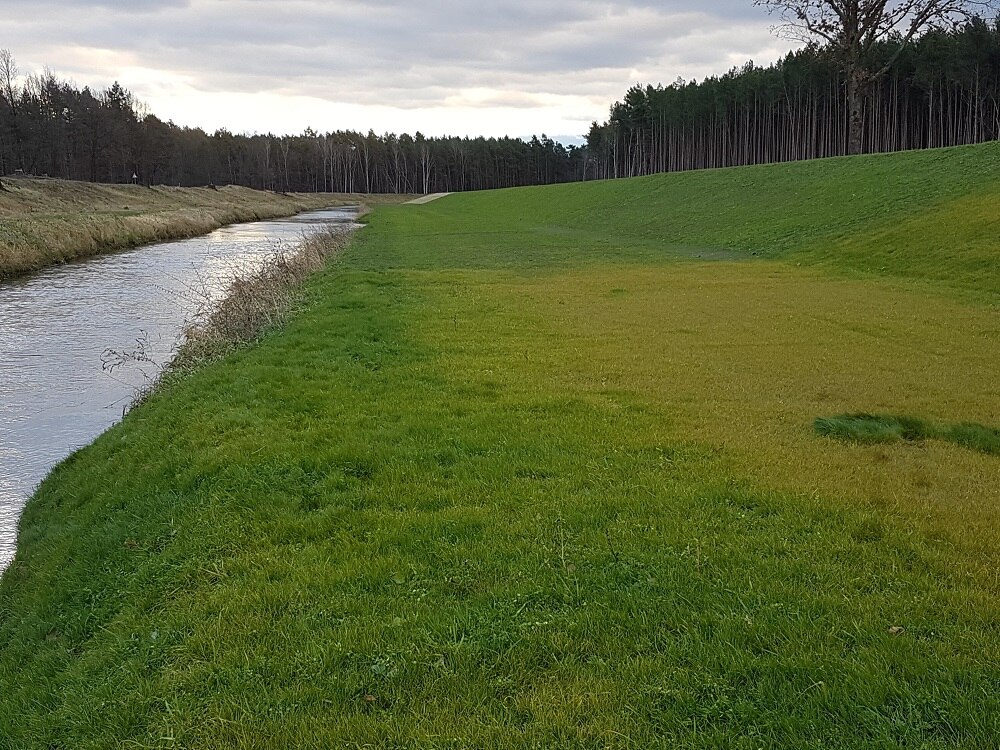 Ein Fluss, rechts daneben eine grüne Wiese, im Hintergrund Wald
