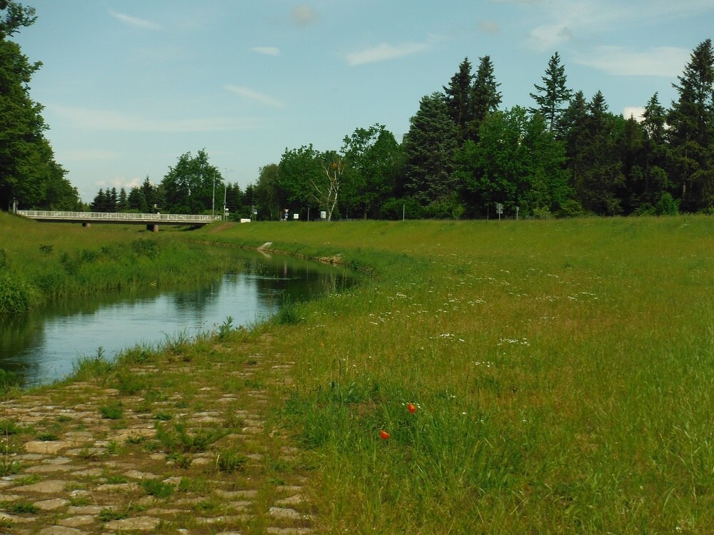 grobe Pflastersteine vorn im Bild mit Wiese und einem Fluss