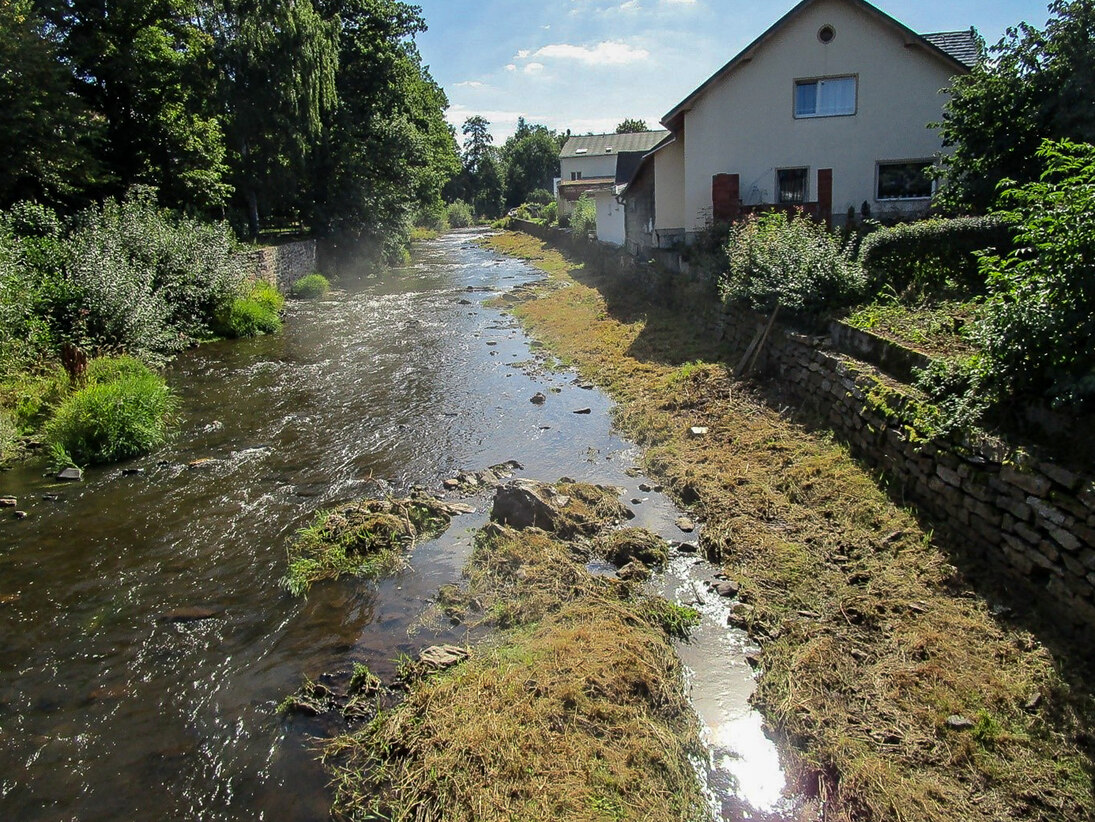 Blick auf einen Fluss der in keinem richtigen Bett verläuft, rechts Häuser, links Wald