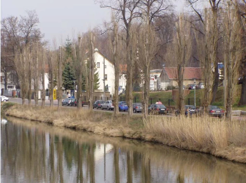 Blick auf einen Fluss mit einer Allee am Ufer