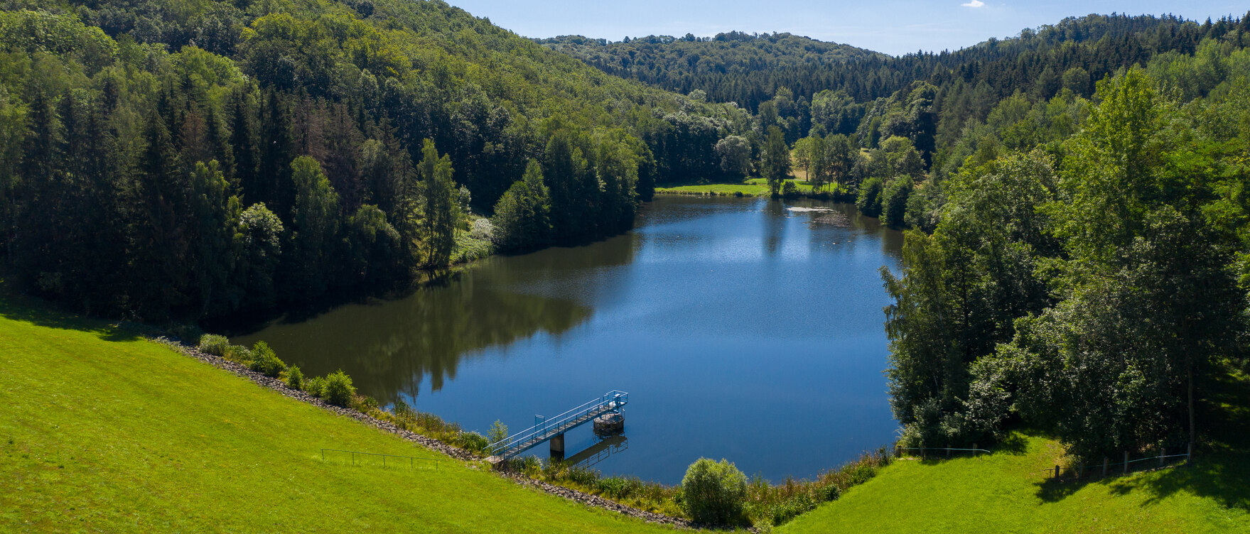 Blick auf einen See umgeben von viel Grün