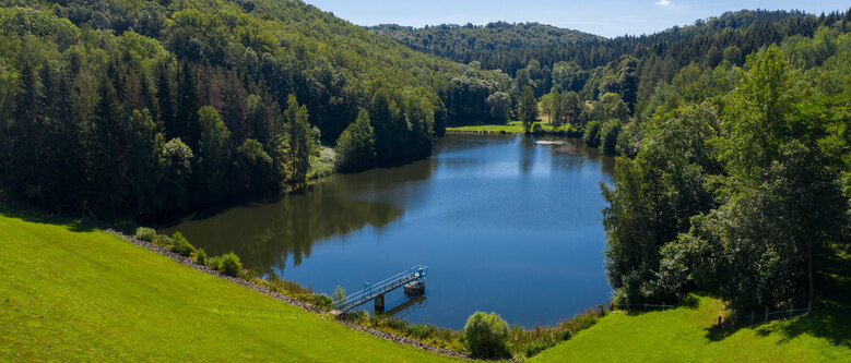 Blick auf einen See umgeben von viel Grün
