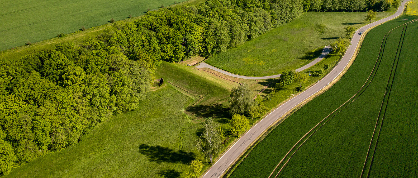 Luftbild des grünen Hochwasserrückhaltebeckens Mochau, umgeben von Feldern