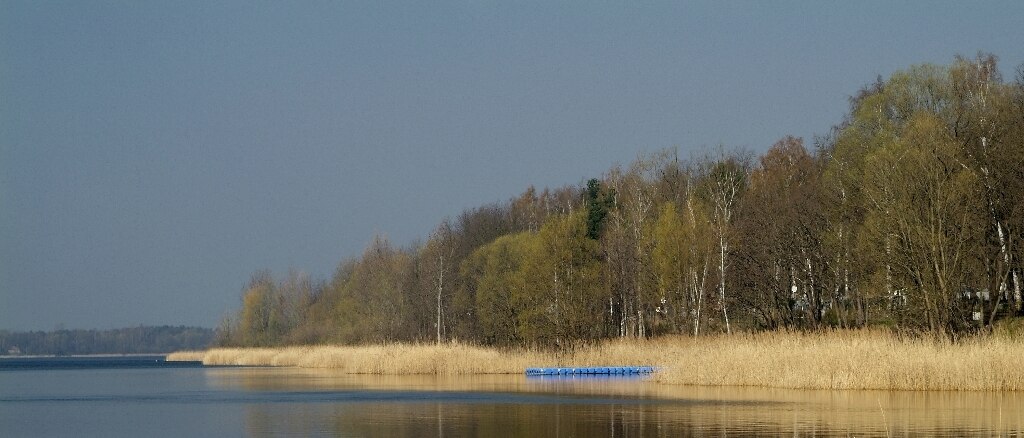 Blick auf einen See an dessen rechtem Ufer Gras wächst und Wald dahinter