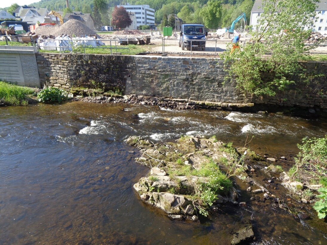 Fluss mit Steinen und Bewuchs in der Mitte, dahinter eine Mauer