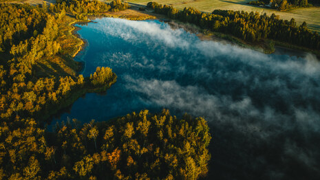 Blick auf einen See umgeben von Wald