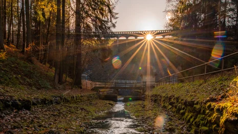 Blick vom Flussbett durch einen Wald in Richtung Staumauer einer Talsperre durch die die Sonne scheint
