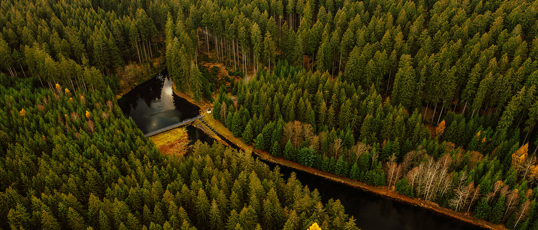 Luftbild vom Vorbecken Lautenbach, umgeben von viel Wald