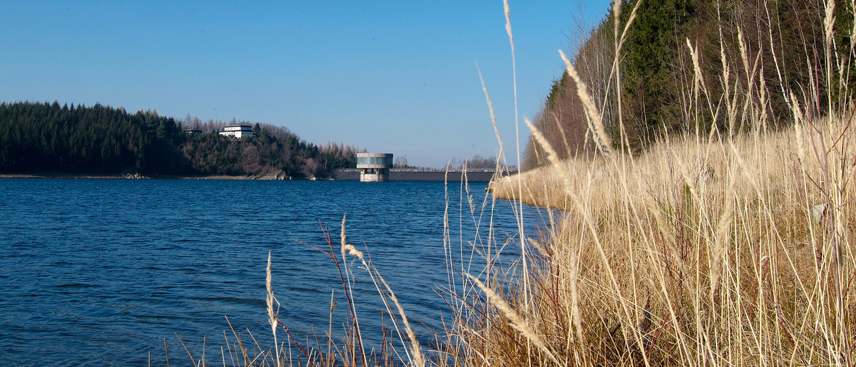 Blick vom Ufer mit hohen Gräsern auf einen See mit Staumauer und Wald im Hintergrund, darüber blauer Himmel