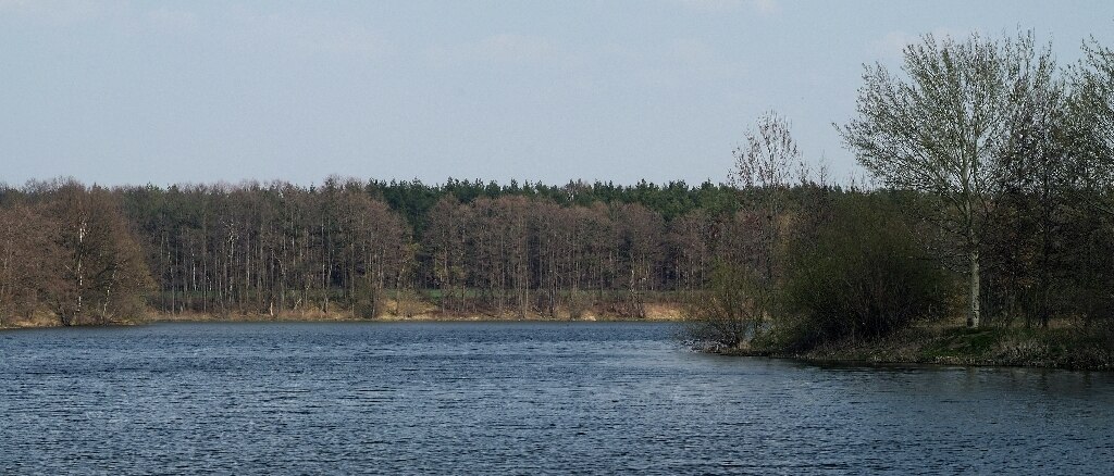 Blick auf einen See - im Hintergrund Bäume