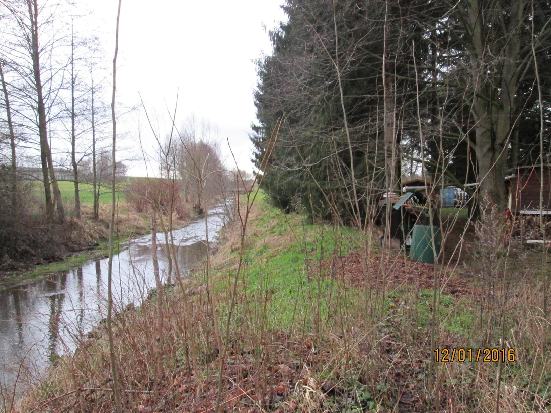 durch Gestrüpp sieht man einen Fluss