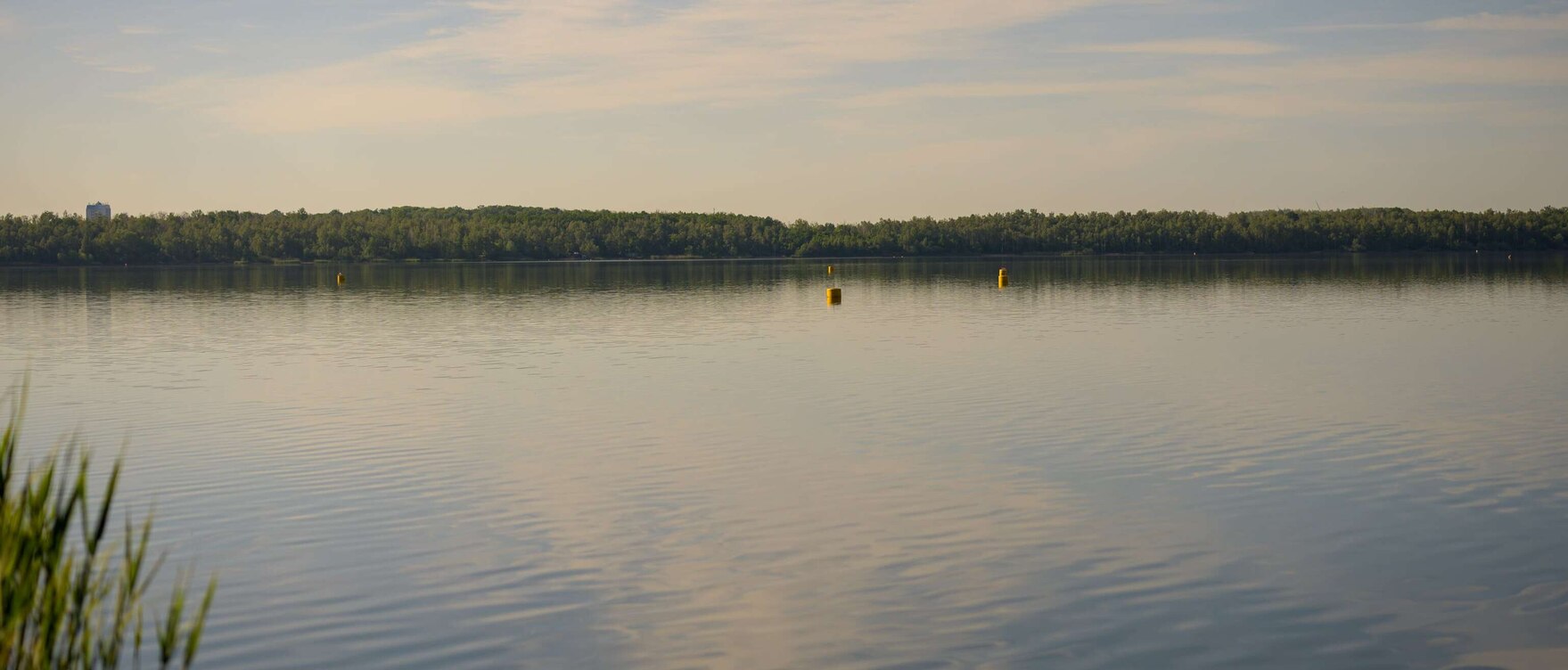 Blick vom Ufer auf die glatte Oberfläche eines Sees mit Bäumen am gegenüberliegenden Ufer
