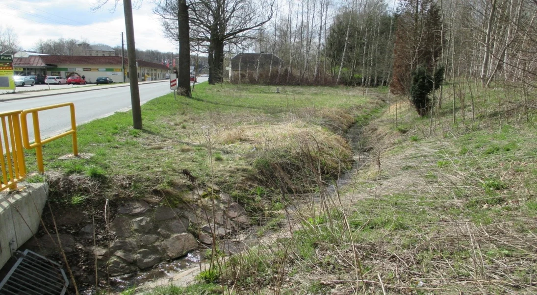 Blick in ein schmales Flussbett ohne Wasser