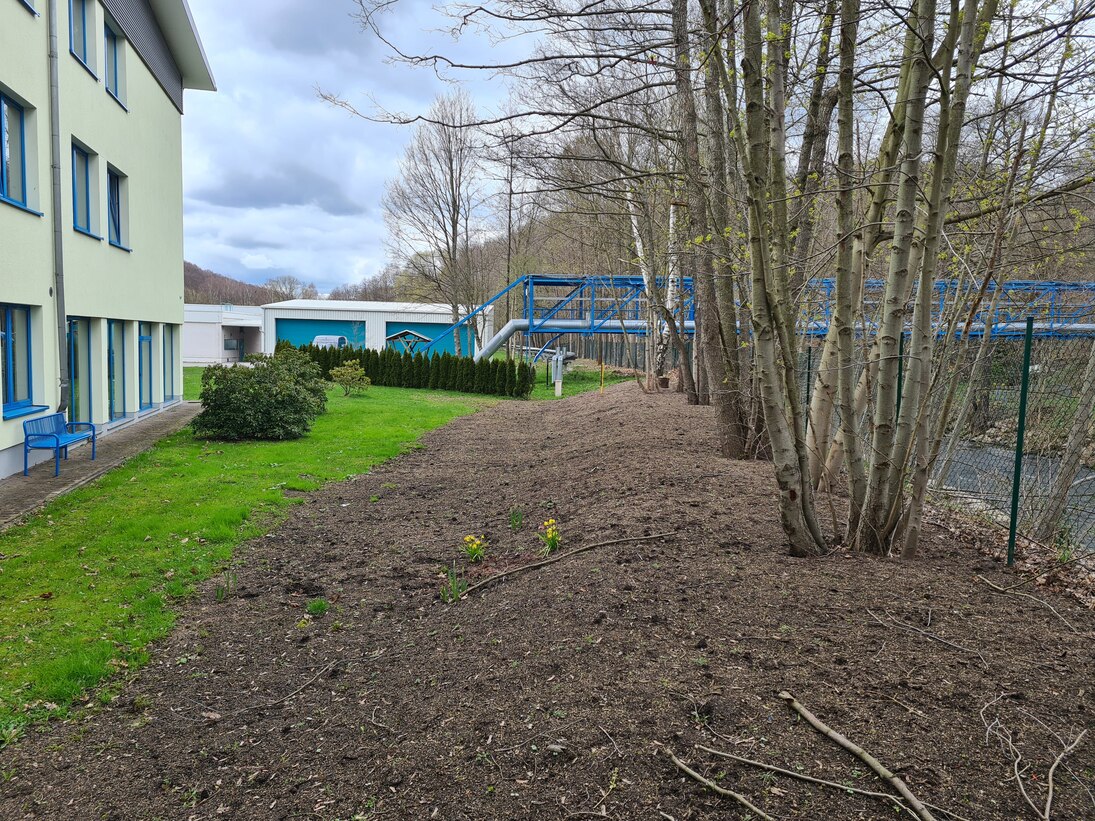 Blick auf Büsche mit Wiese und frischer Erde