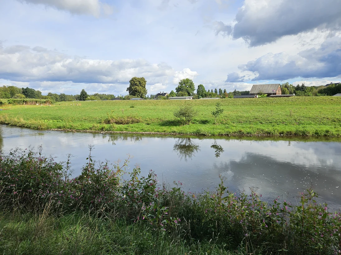 Fluss mit Uferbewuchs, dahinter eine grüne Wiese mit einzelnen Bäumen und einem Bauernhaus unter bewölktem Himmel