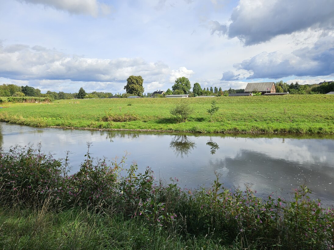 Fluss mit Uferbewuchs, dahinter eine grüne Wiese mit einzelnen Bäumen und einem Bauernhaus unter bewölktem Himmel
