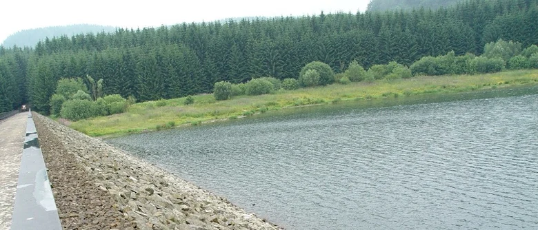 Blick vom Damm über das Gelände und den See mit Wald im Hintergrund