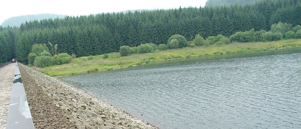 Blick vom Damm über das Gelände und den See mit Wald im Hintergrund